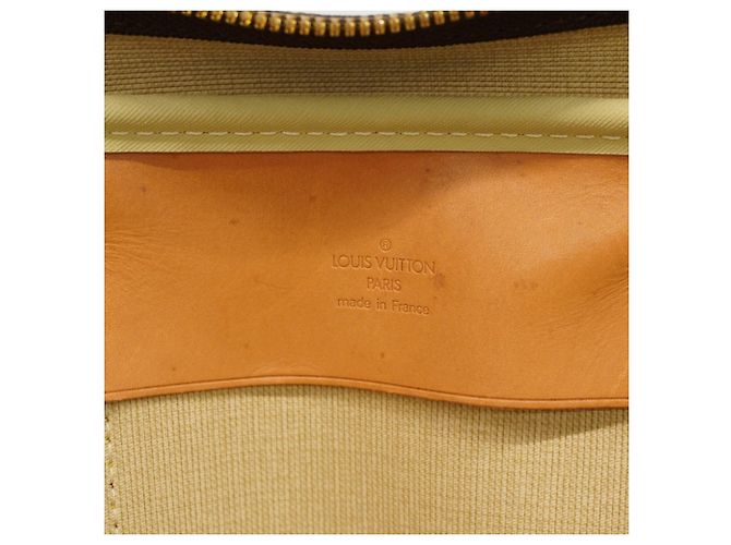Sirius Borsa Boston marrone Louis Vuitton - vista 5