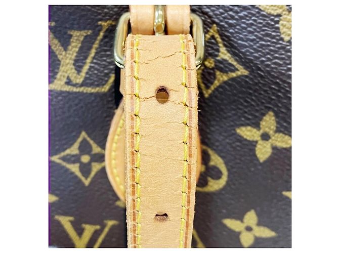 Borsa Tote Louis Vuitton Monogram Canvas Bucket PM Marrone - vista 9