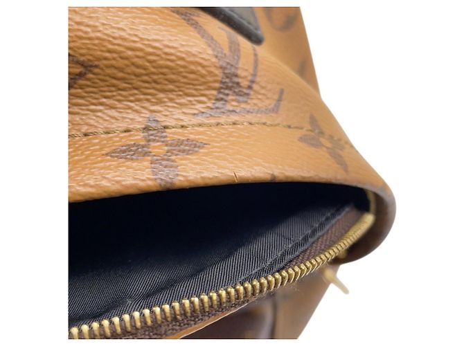 Louis Vuitton Monogram Reverse Palm Springs Mini Backpack Braun Schwarz - Ansicht 10