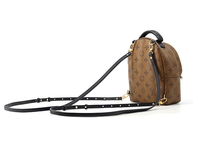 Louis Vuitton Monogram Reverse Palm Springs Mini Backpack Braun Schwarz - Ansicht 2
