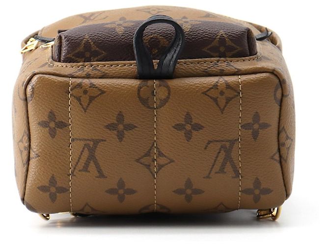 Louis Vuitton Monogram Reverse Palm Springs Mini Backpack Braun Schwarz - Ansicht 3