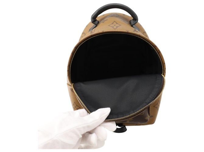 Louis Vuitton Monogram Reverse Palm Springs Mini Backpack Braun Schwarz - Ansicht 5
