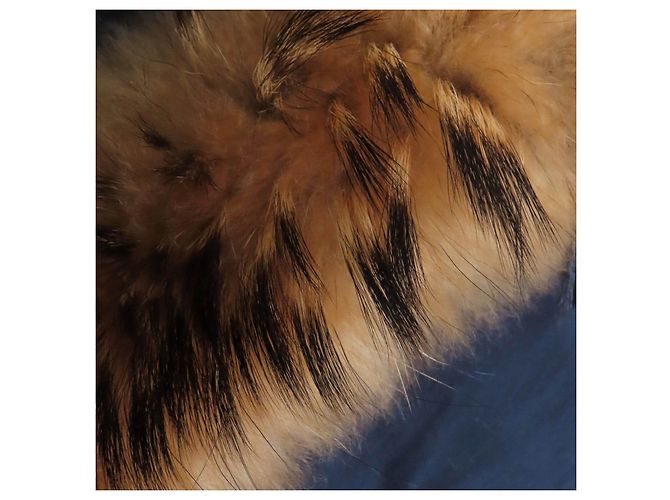 Autre Marque Chaqueta de plumón de algodón Pyrenex BORDEAUX Azul Azul marino - vista 9
