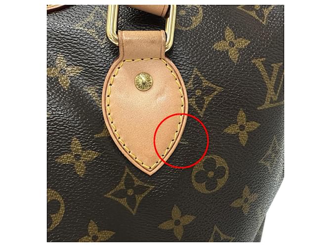Palermo Borsa Louis Vuitton Monogram Marrone - vista 11