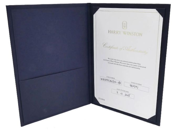 Harry Winston Platine 950 Princess Schliff Ehering - Ansicht 8