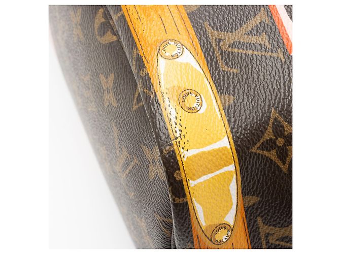 Louis Vuitton Edición Limitada Monogram Canvas Summer Trunk Neverfull MM Tote Castaño - vista 10