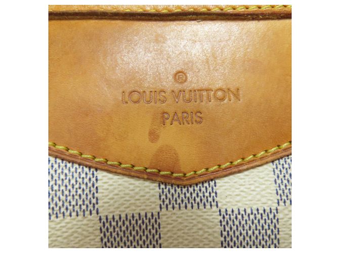 Borsa a Spalla Louis Vuitton N41113 Syracuse PM Blu Damier ebene - vista 13