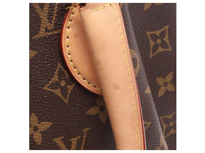 Borsa Louis Vuitton Rivoli PM Marrone - vista 6