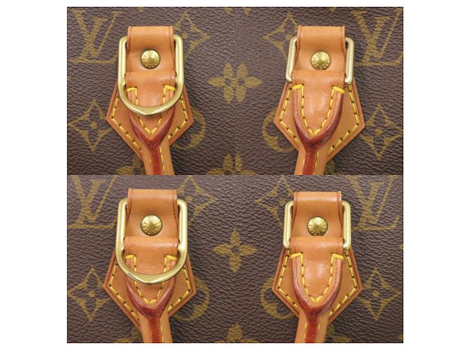 Borsa Louis Vuitton Alma Monogram Marrone - vista 8
