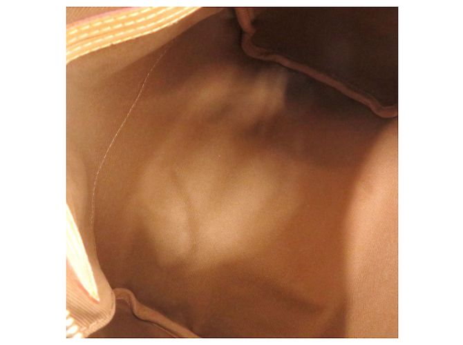 Borsa Louis Vuitton Speedy 25 Monogram Marrone - vista 5