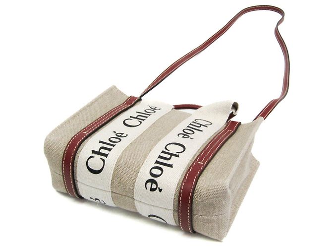 Mini borsa a tracolla Woody Chloé Beige - vista 3