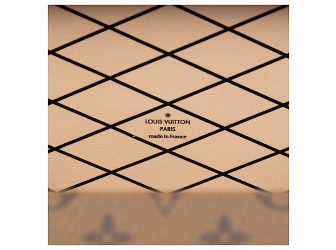 Louis Vuitton Marrone Monogram Reverse Petite Malle - vista 5
