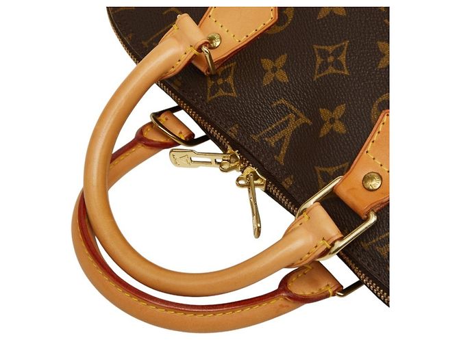 Borsa Louis Vuitton Monogram Alma PM Marrone - vista 8