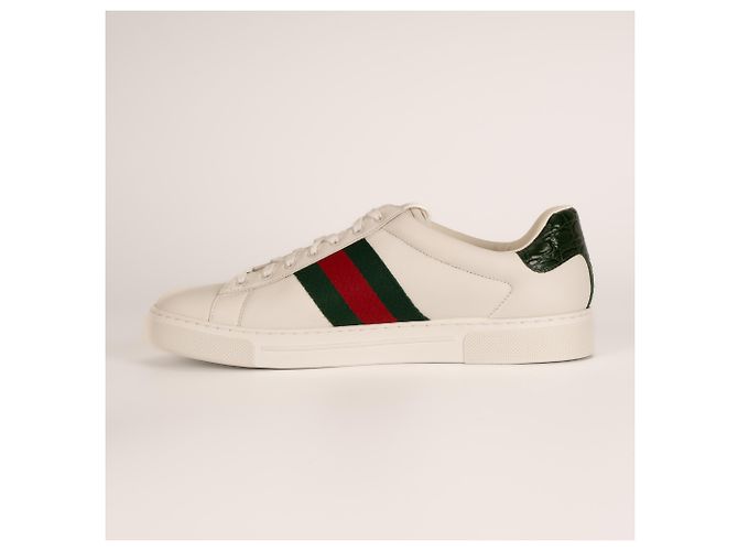 Sneaker Gucci Ace con Web in pelle bianca da uomo EU 43.5 Bianco - vista 5