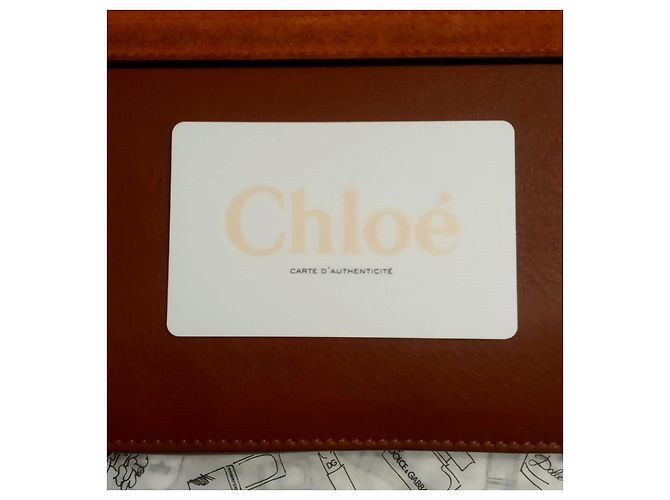 Chloé Faye Borsa a Spalla in Pelle e Scamosciato Marrone - vista 2