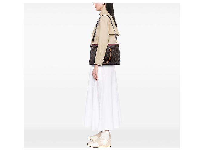 Louis Vuitton Marrone Monogram Pallas MM - vista 6
