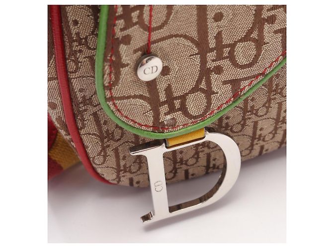 Borsa a tracolla Christian Dior Rasta Trotter Saddle Pocket Multicolore Beige - vista 6