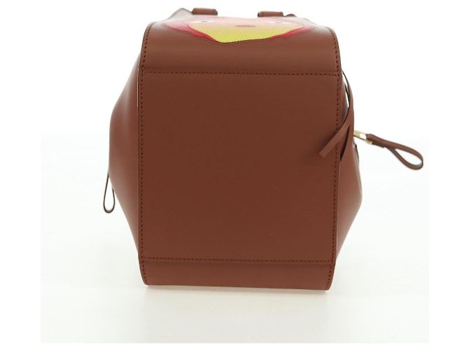 LOEWE × Ghibli Howl's Hammock Calcifer Bag Pelle 2way Oro Autentico 167309SM - vista 5