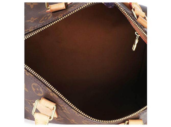Louis Vuitton Monogram Canvas Speedy 30 Marrone - vista 5