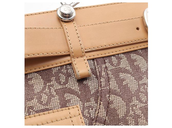 Borsa Christian Dior Trotter Marrone Beige - vista 12