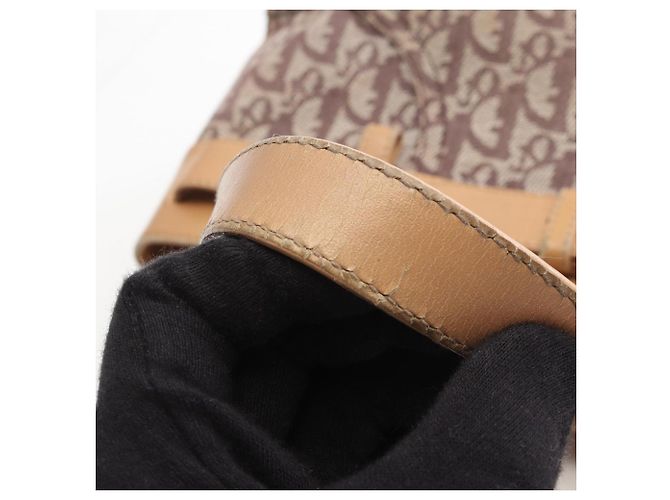 Borsa Christian Dior Trotter Marrone Beige - vista 13