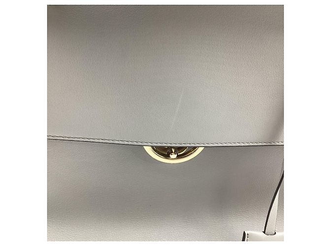 Borsa a mano Jet Set Salvatore Ferragamo in pelle grigia - vista 17