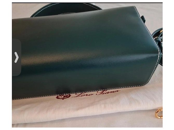 Loro Piana Borsa Vanity in pelle verde Verde scuro - vista 4
