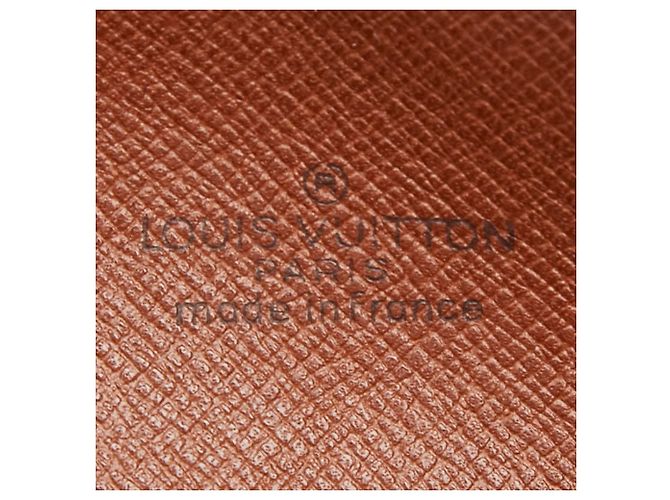 Borsa a tracolla Louis Vuitton Monogram Amazon Crossbody Marrone - vista 10