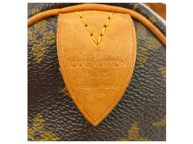 Borsa Louis Vuitton Neo Speedy Pelle Orfevre Leather PM Marrone - vista 4