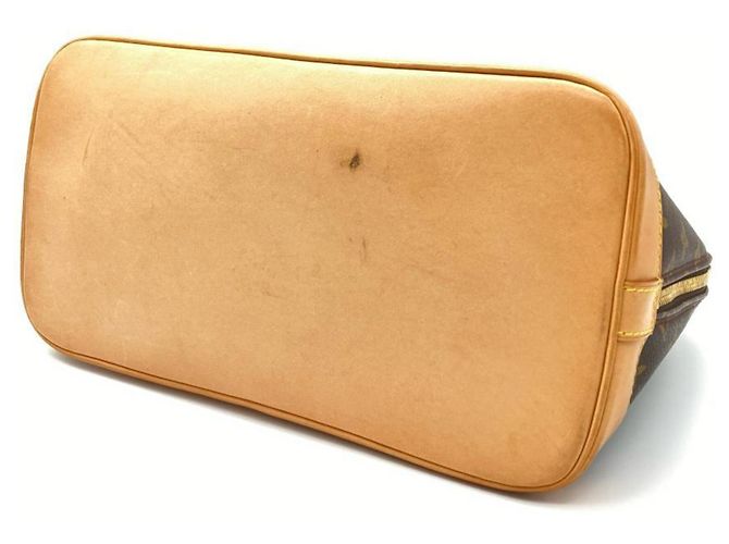 Borsa Louis Vuitton Alma PM Marrone - vista 3
