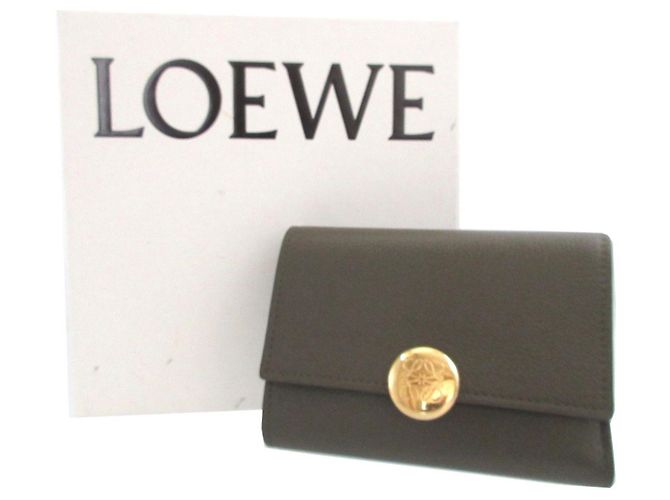 Portafoglio Verticale Piccolo Pebble Loewe Cachi - vista 2