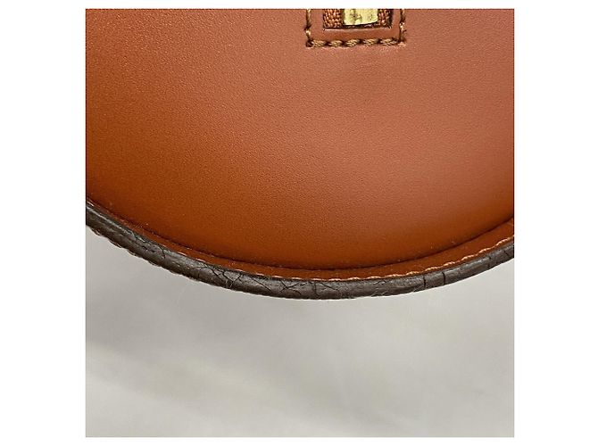 Borsa Louis Vuitton Epi Soufflot M52223 Marrone - vista 6