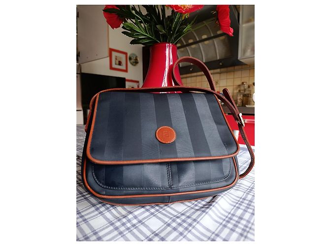 Fendi Borsa a Tracolla in Tela a Righe e Pelle Marrone Blu - vista 5