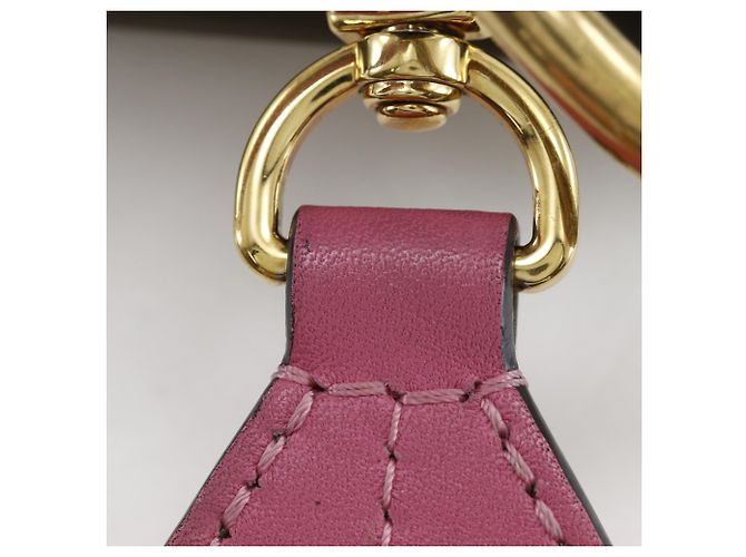 Borsa a tracolla Louis Vuitton Tuileries Reevess Marrone Rosa Verde - vista 13
