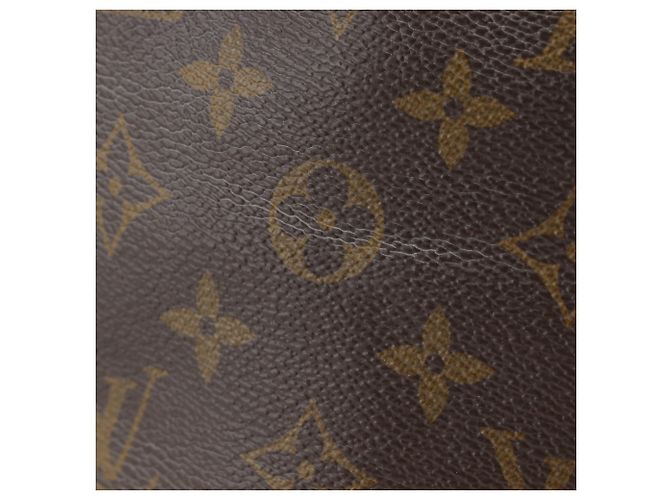 Borsa a tracolla Louis Vuitton Tuileries Reevess Marrone Rosa Verde - vista 18