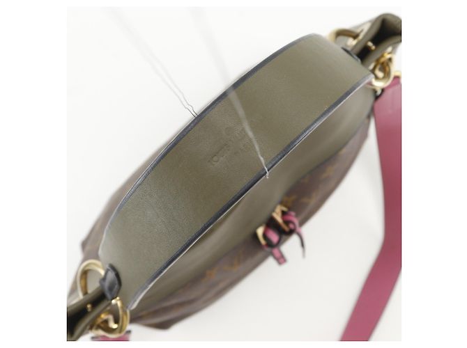 Borsa a tracolla Louis Vuitton Tuileries Reevess Marrone Rosa Verde - vista 6