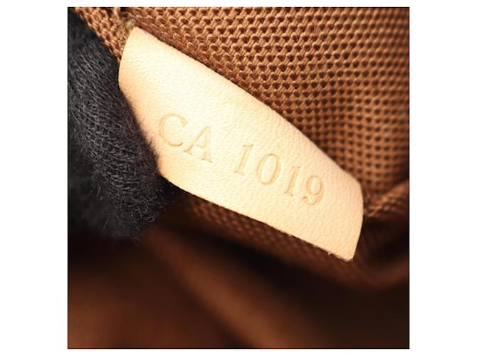 Borsa a Spalla Louis Vuitton Odeon PM Monogram Marrone - vista 5