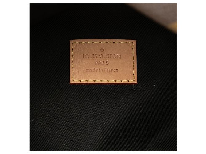 Bumbag Louis Vuitton Monogram marrone - vista 5