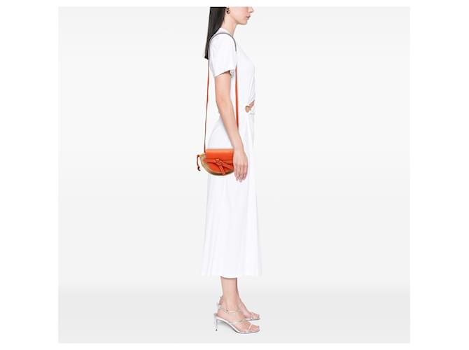 LOEWE Beige Mini Raffia Gate Crossbody - vista 6