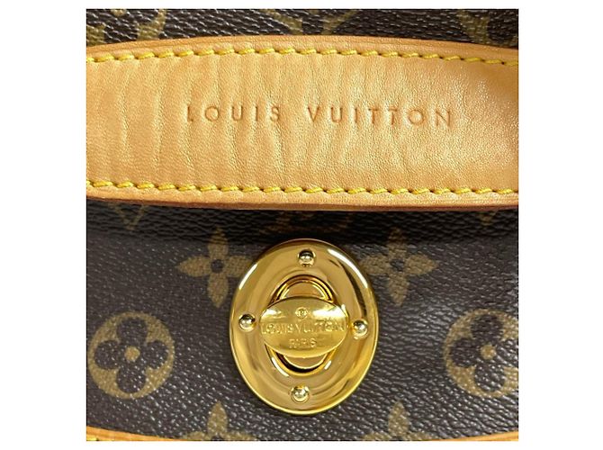 Louis Vuitton Tulum PM Schultertasche Braun - Ansicht 6