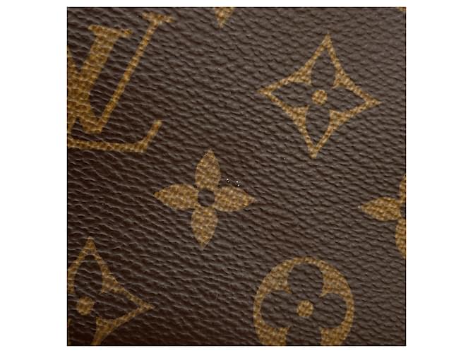 Louis Vuitton Monogram Multi Pochette Accessoires Monogramma - vista 14