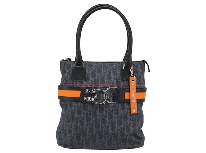Borsa Christian Dior Trotter Canvas Blu Argento Auth bs35245A - vista 2