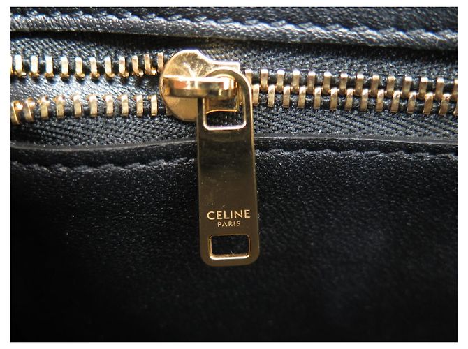 Céline NUOVA BORSA CELINE TRIOMPHE TEEN 188423 PELLE DI VITELLO LUCIDA CON TRACULLA Nero - vista 12
