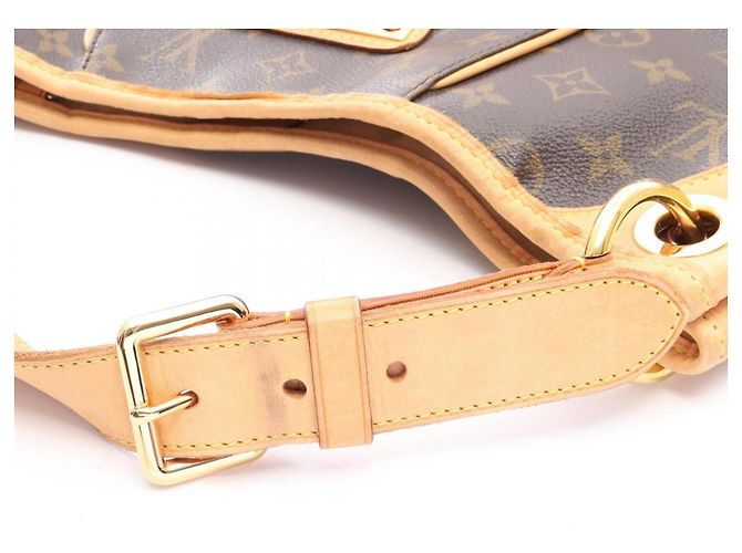 Borsa a Spalla Louis Vuitton Galliera PM Marrone - vista 11