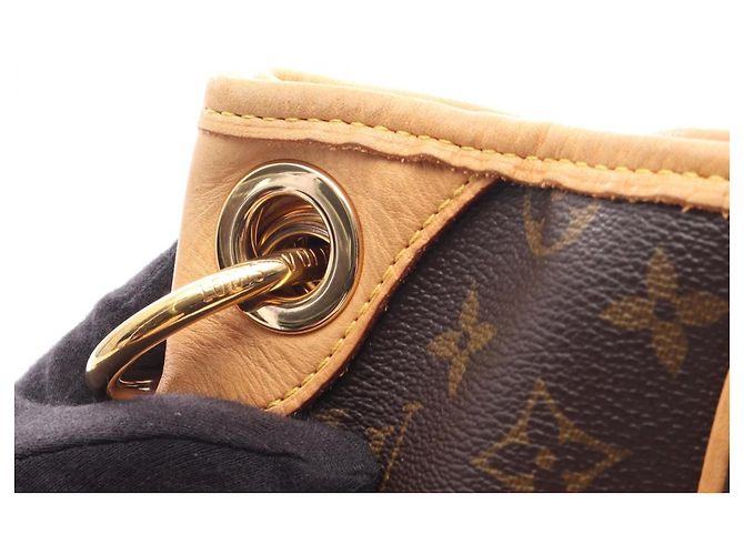 Borsa a Spalla Louis Vuitton Galliera PM Marrone - vista 13