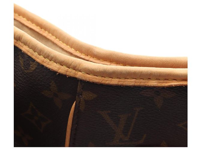 Borsa a Spalla Louis Vuitton Galliera PM Marrone - vista 14
