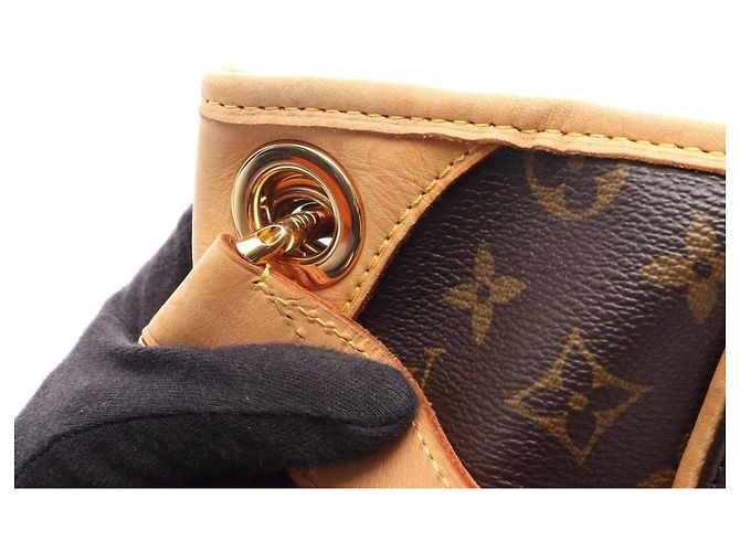 Borsa a Spalla Louis Vuitton Galliera PM Marrone - vista 16