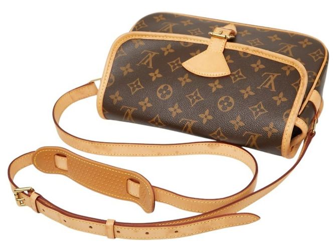 Borsa a Spalla Louis Vuitton Monogram Sologne Marrone - vista 10