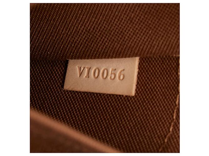 Borsa a Spalla Louis Vuitton Monogram Sologne Marrone - vista 13