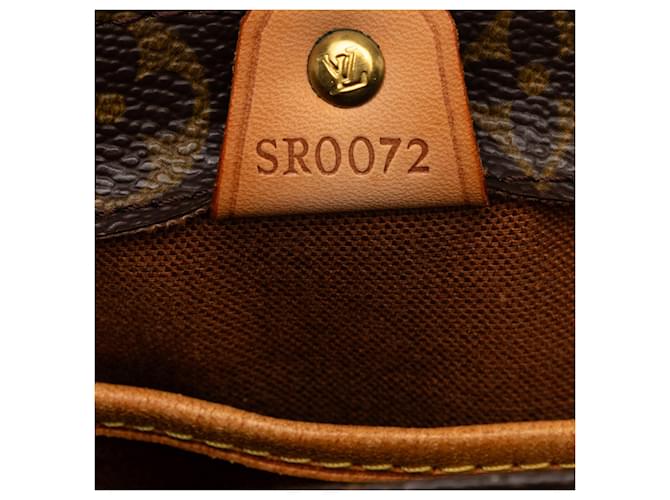 Louis Vuitton Marrone Monogram Vavin PM - vista 6